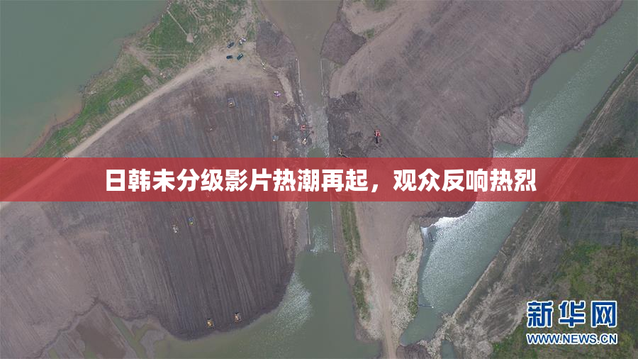 日韩未分级影片热潮再起，观众反响热烈