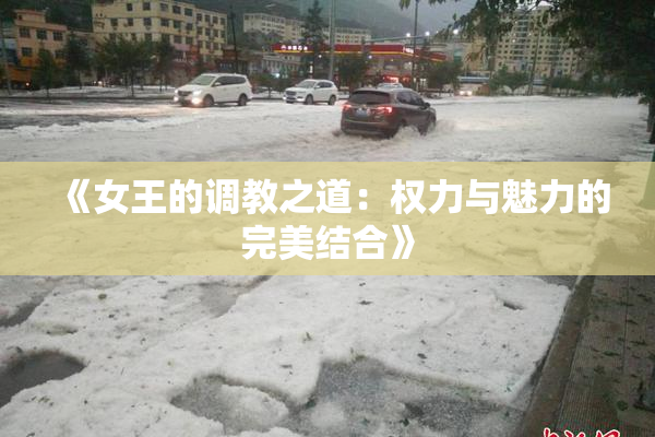 《女王的调教之道：权力与魅力的完美结合》