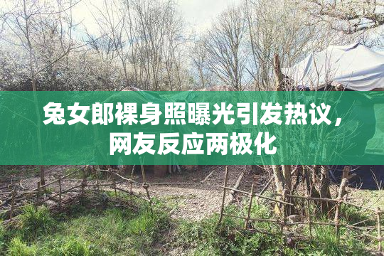 兔女郎裸身照曝光引发热议，网友反应两极化