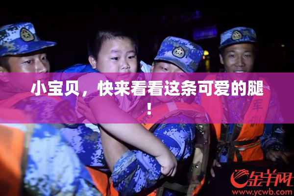 小宝贝，快来看看这条可爱的腿！