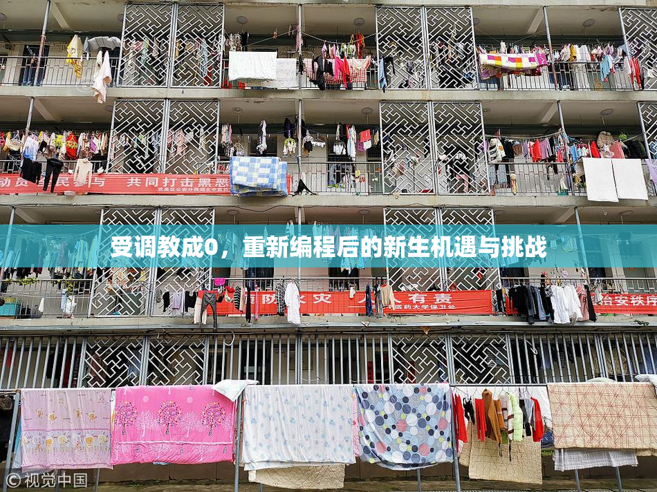 受调教成0，重新编程后的新生机遇与挑战