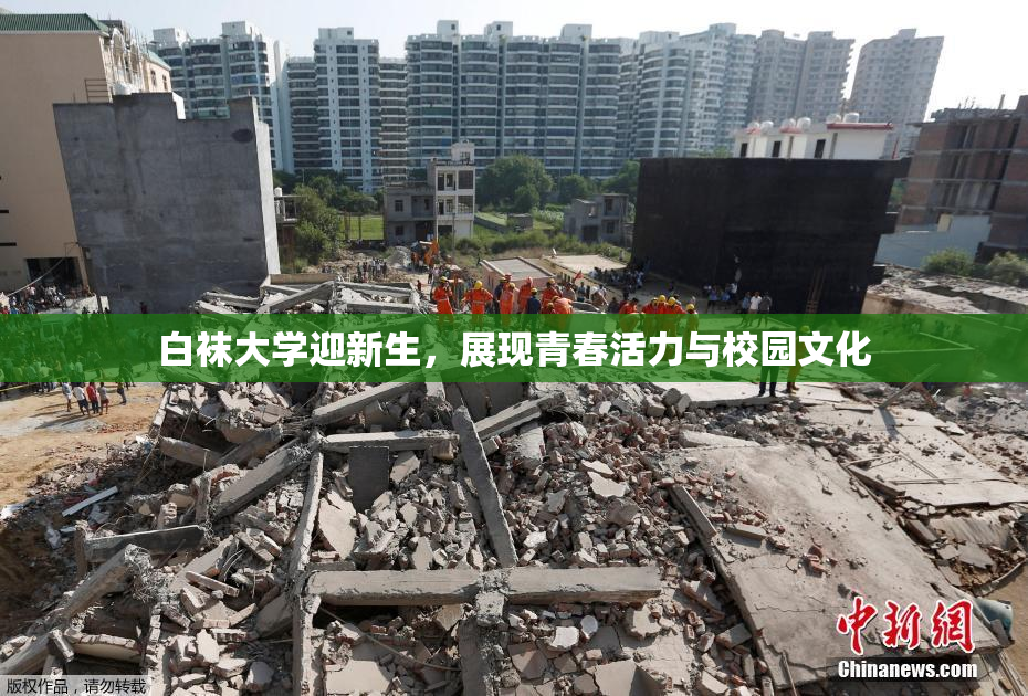 白袜大学迎新生，展现青春活力与校园文化