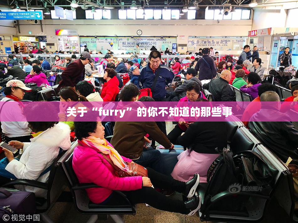 关于“furry”的你不知道的那些事