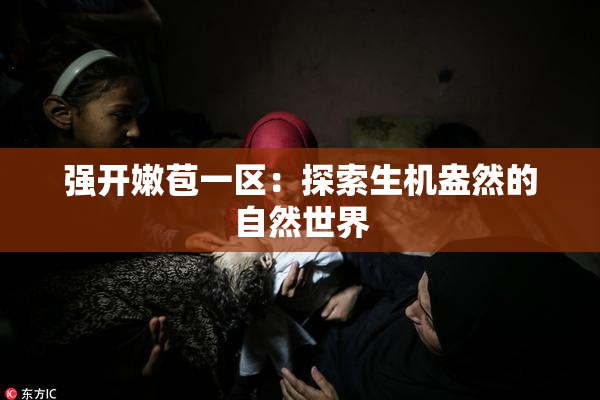 强开嫩苞一区：探索生机盎然的自然世界