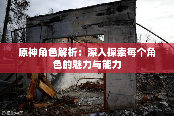 原神角色解析：深入探索每个角色的魅力与能力
