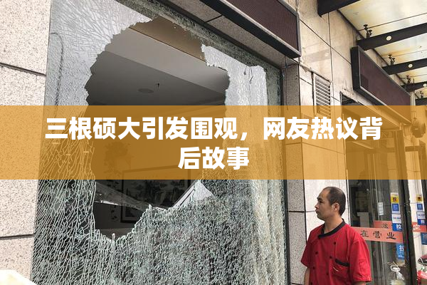 三根硕大引发围观，网友热议背后故事