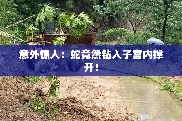 意外惊人：蛇竟然钻入子宫内撑开！