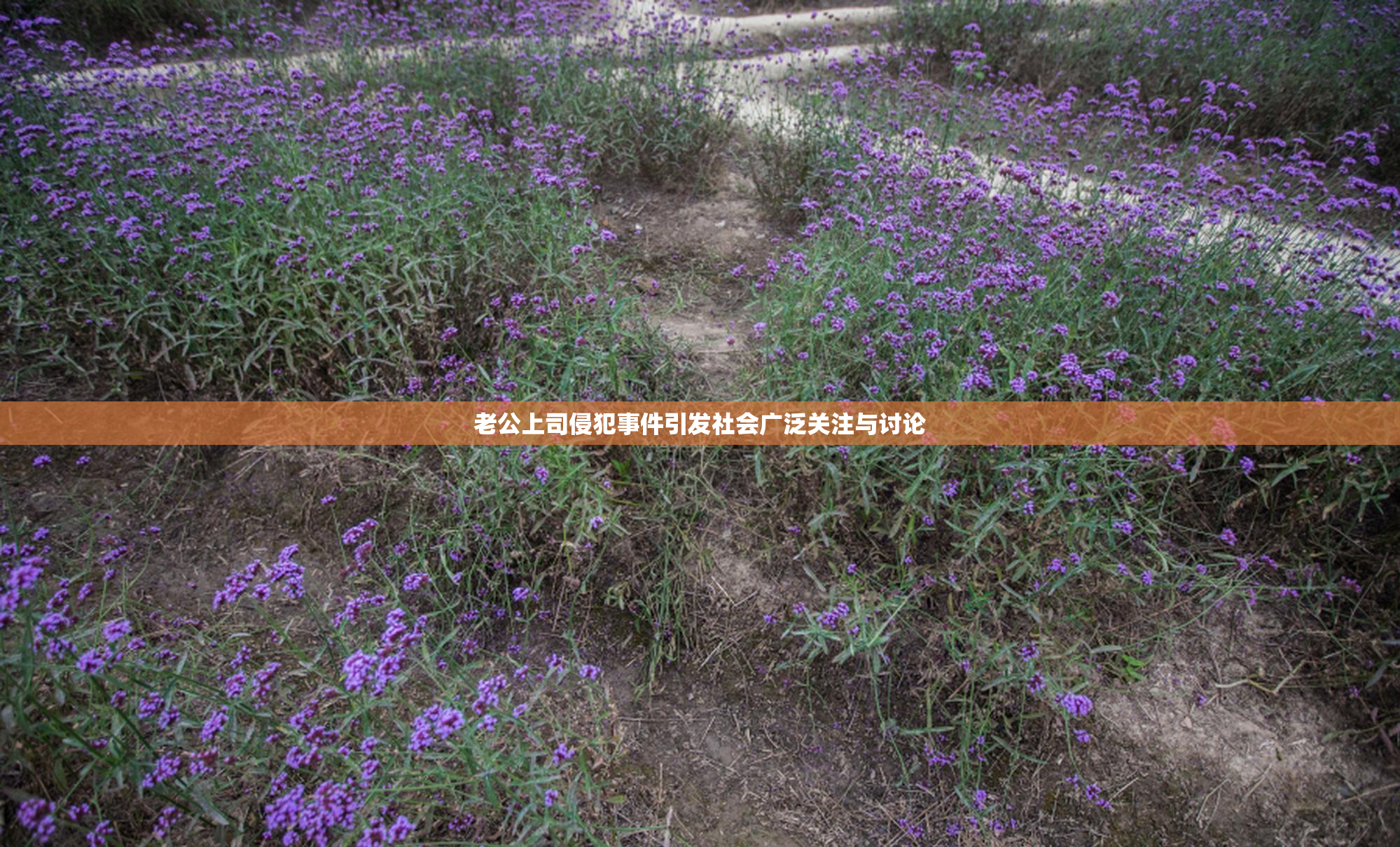 老公上司侵犯事件引发社会广泛关注与讨论