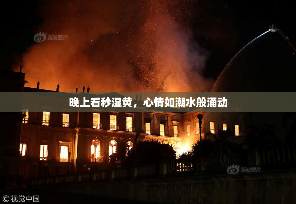 晚上看秒湿黄，心情如潮水般涌动