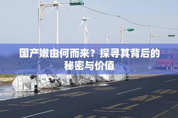 国产嫩由何而来？探寻其背后的秘密与价值