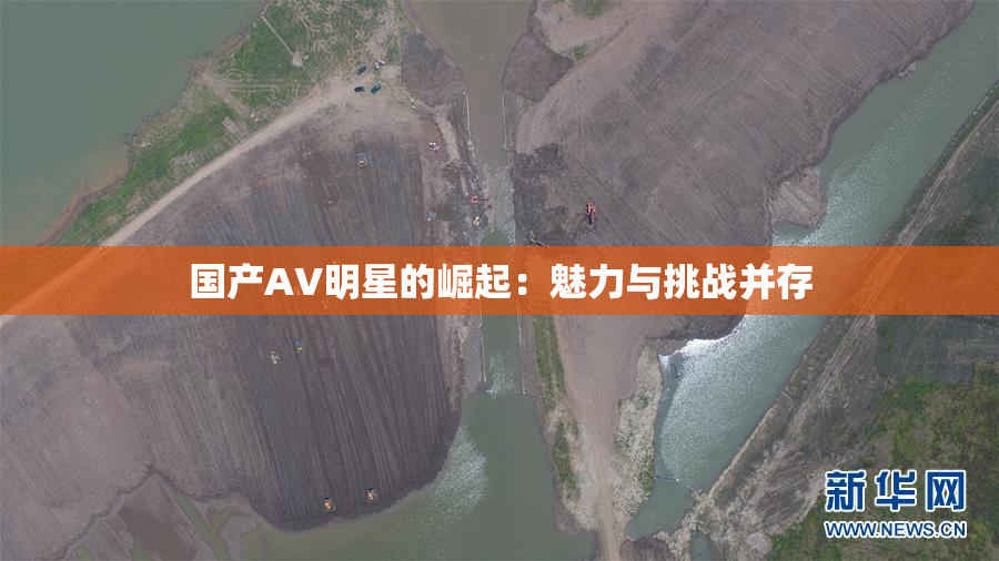 国产AV明星的崛起：魅力与挑战并存