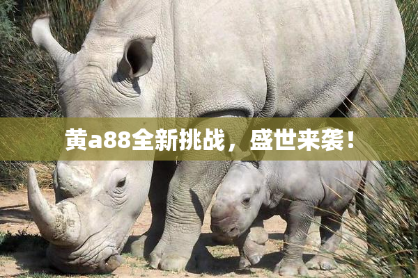 黄a88全新挑战，盛世来袭！