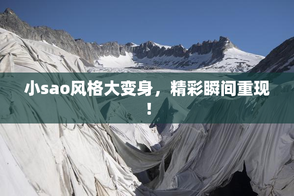 小sao风格大变身，精彩瞬间重现！