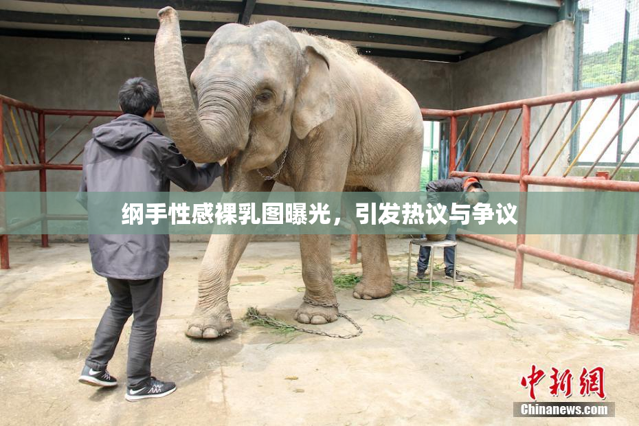 纲手性感裸乳图曝光，引发热议与争议