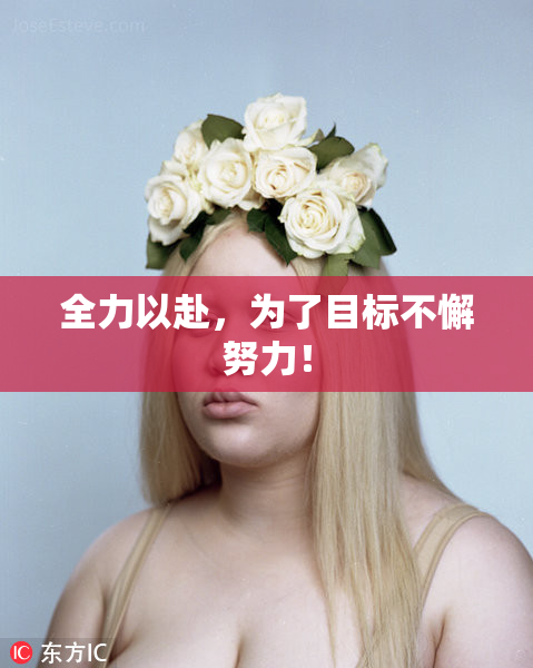 全力以赴，为了目标不懈努力！