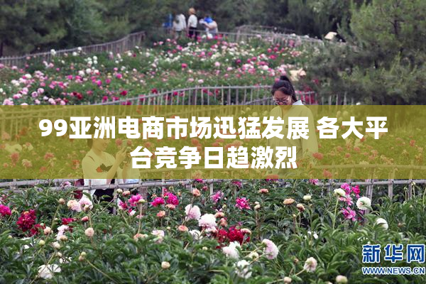 99亚洲电商市场迅猛发展 各大平台竞争日趋激烈