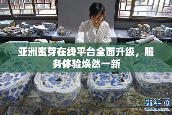 亚洲蜜芽在线平台全面升级，服务体验焕然一新