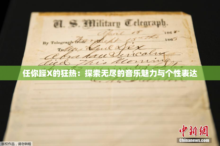 任你躁X的狂热：探索无尽的音乐魅力与个性表达
