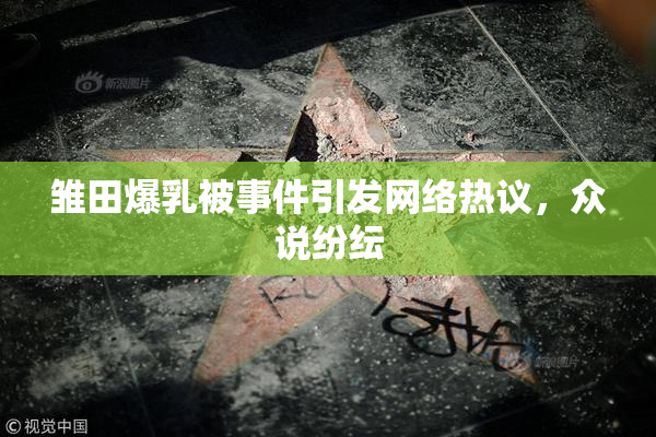 雏田爆乳被事件引发网络热议，众说纷纭