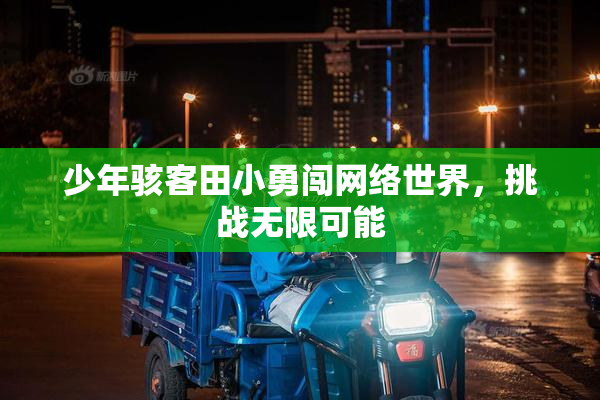 少年骇客田小勇闯网络世界，挑战无限可能