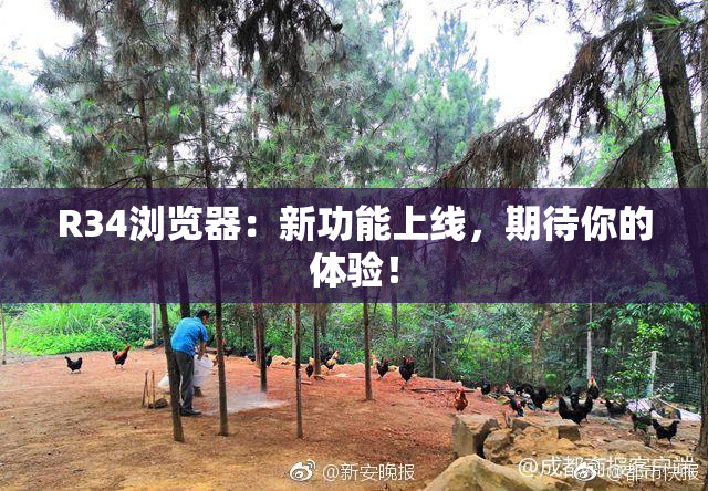 R34浏览器：新功能上线，期待你的体验！