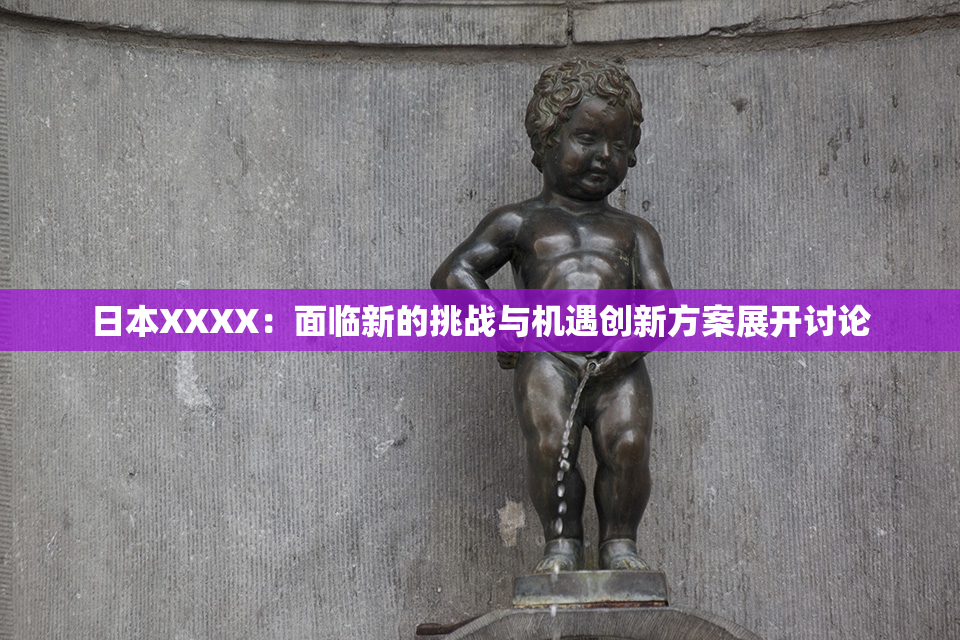 日本XXXX：面临新的挑战与机遇创新方案展开讨论