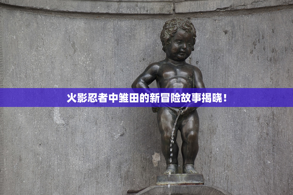 火影忍者中雏田的新冒险故事揭晓！