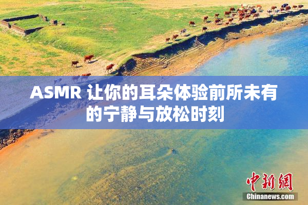 ASMR 让你的耳朵体验前所未有的宁静与放松时刻