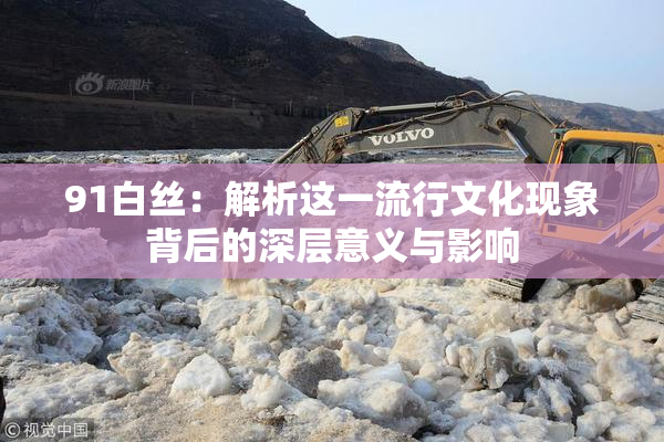 91白丝：解析这一流行文化现象背后的深层意义与影响