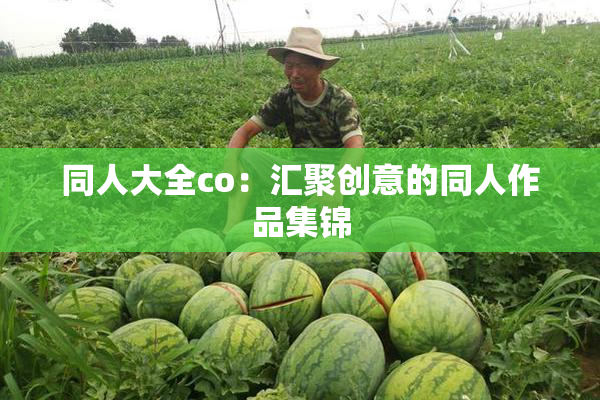 同人大全co：汇聚创意的同人作品集锦