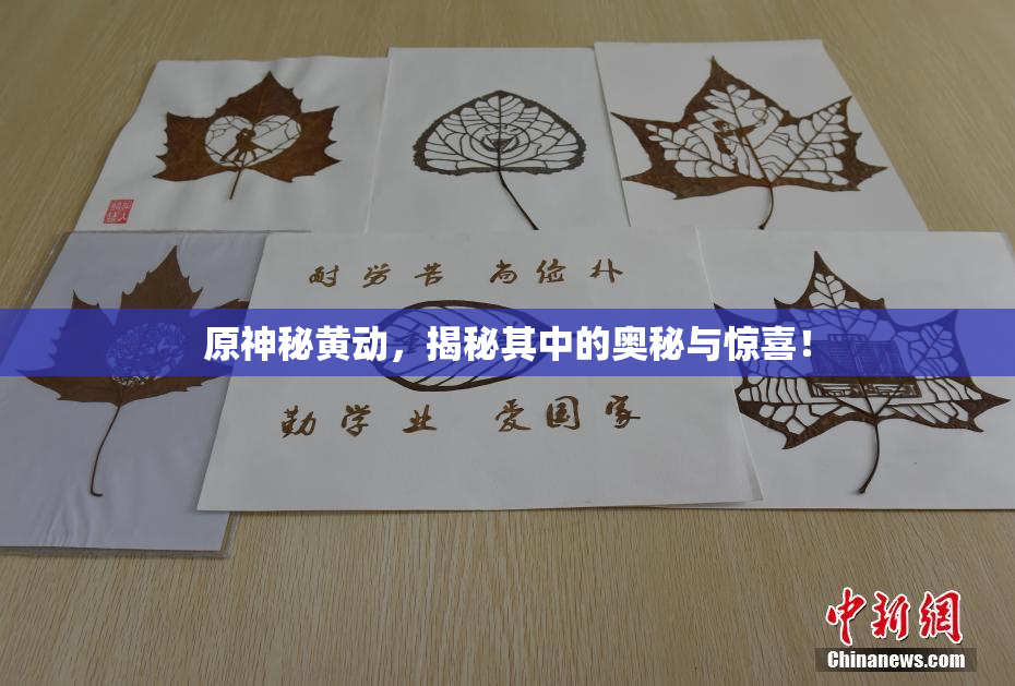 原神秘黄动，揭秘其中的奥秘与惊喜！