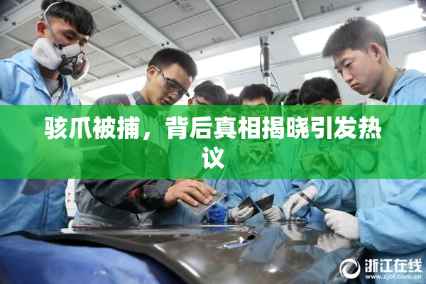 骇爪被捕，背后真相揭晓引发热议