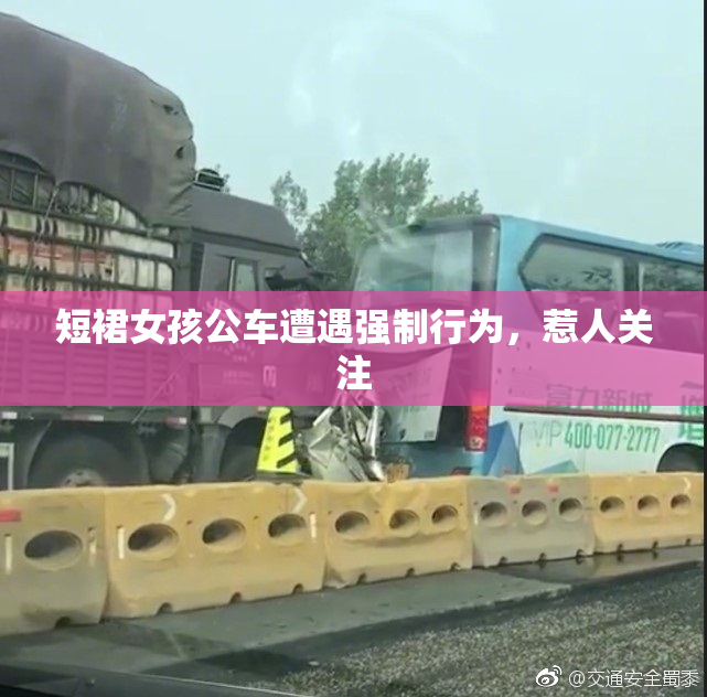 短裙女孩公车遭遇强制行为，惹人关注