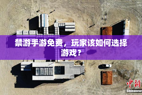 禁游手游免费，玩家该如何选择游戏？