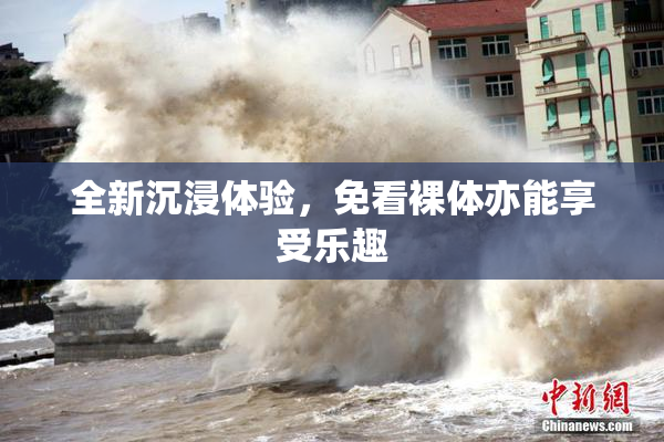 全新沉浸体验，免看裸体亦能享受乐趣