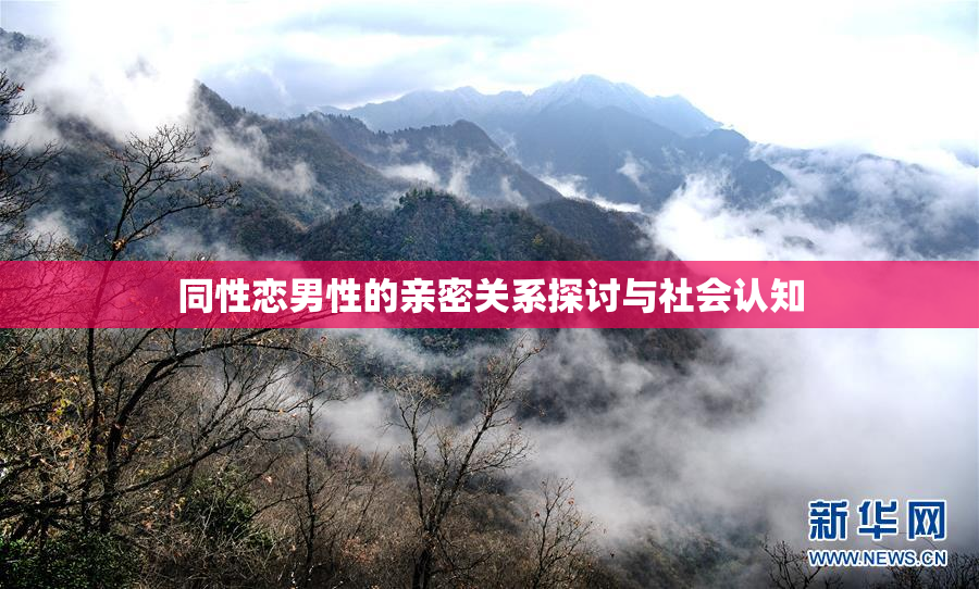 同性恋男性的亲密关系探讨与社会认知