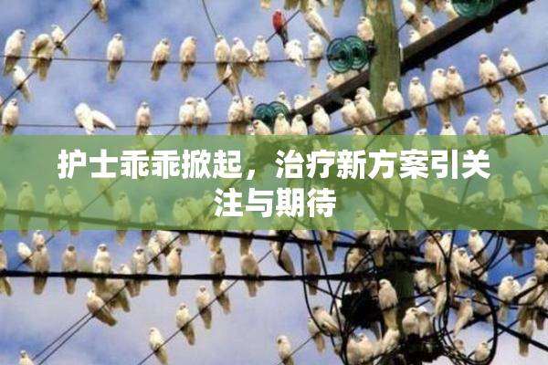 护士乖乖掀起，治疗新方案引关注与期待