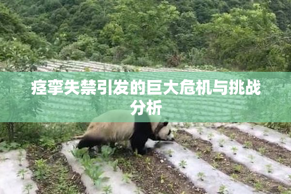 痉挛失禁引发的巨大危机与挑战分析