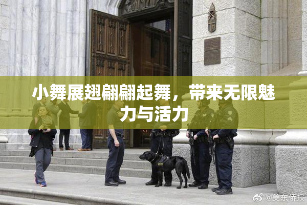 小舞展翅翩翩起舞，带来无限魅力与活力