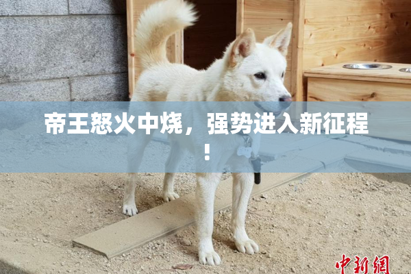 帝王怒火中烧，强势进入新征程!