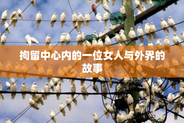 拘留中心内的一位女人与外界的故事