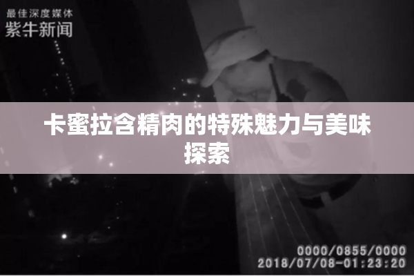 卡蜜拉含精肉的特殊魅力与美味探索