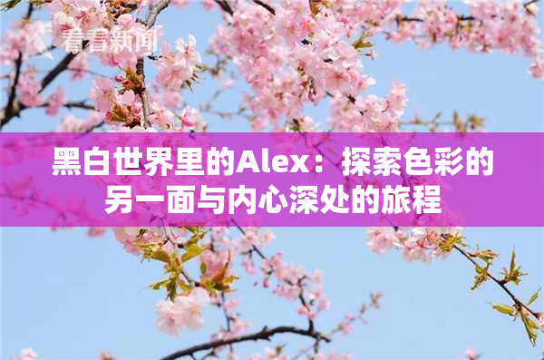 黑白世界里的Alex：探索色彩的另一面与内心深处的旅程