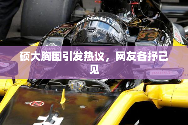 硕大胸围引发热议，网友各抒己见