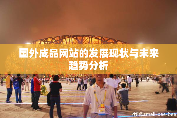 国外成品网站的发展现状与未来趋势分析