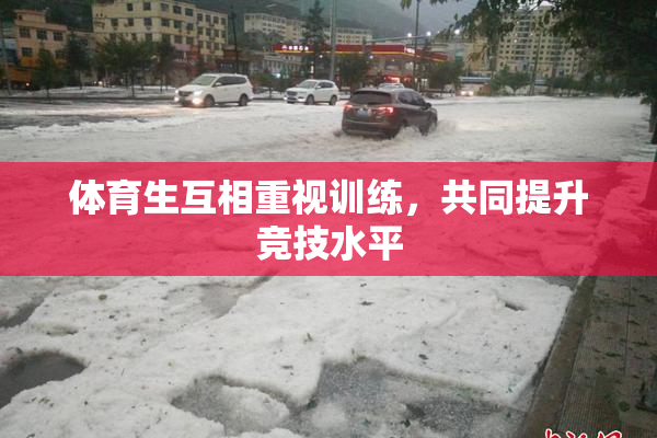 体育生互相重视训练，共同提升竞技水平
