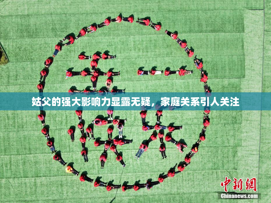 姑父的强大影响力显露无疑，家庭关系引人关注
