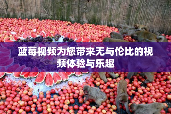 蓝莓视频为您带来无与伦比的视频体验与乐趣