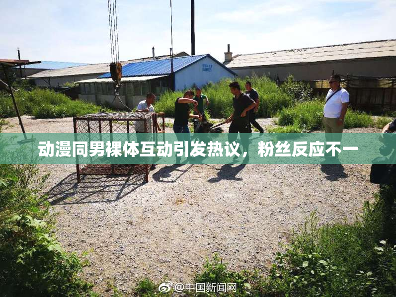 动漫同男裸体互动引发热议，粉丝反应不一