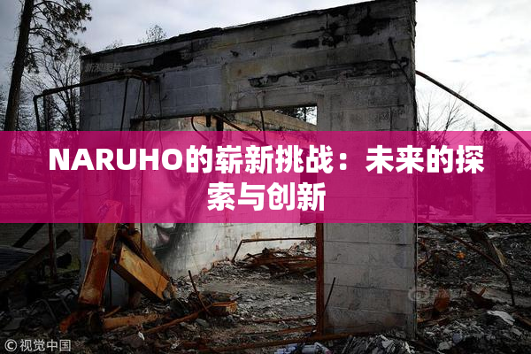 NARUHO的崭新挑战：未来的探索与创新